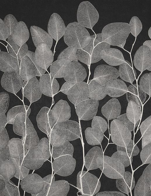 Панно и фотообои Italreflexes Macro Foil-009/Slate