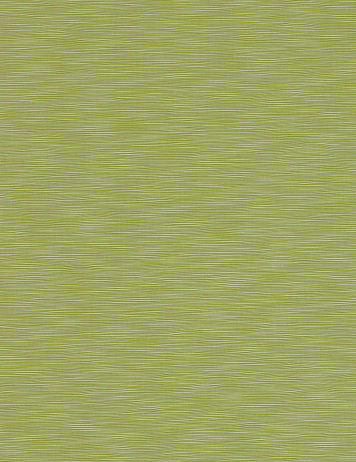 Ткань Manuel Canovas Hansa 04937/14