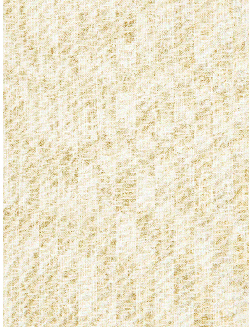 Ткань Fabricut Inspirations Vol. 6 Champagne Rodney/Cream