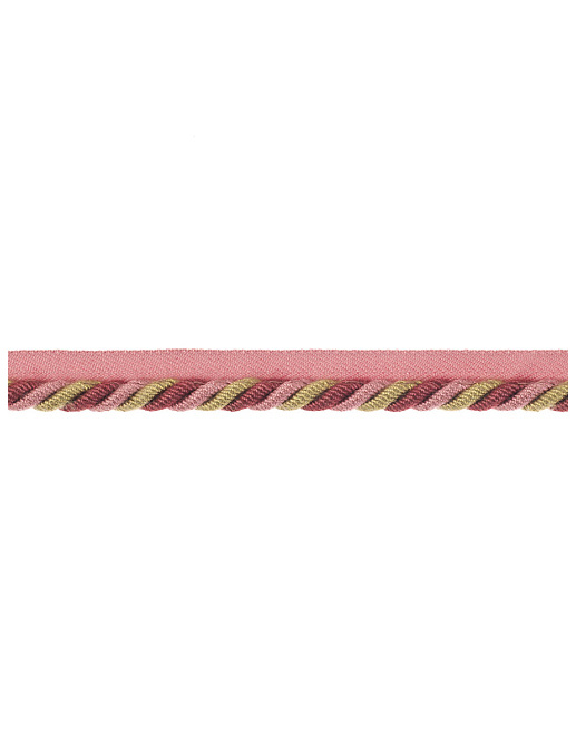 Шнур Fabricut Cord Library Trimmings Arbor/Petunia