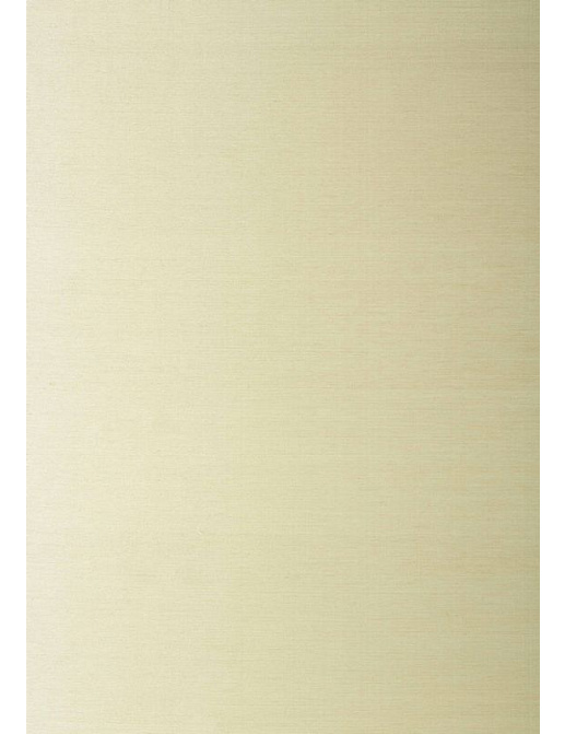 Обои Thibaut Natural Resource vol.II T83039