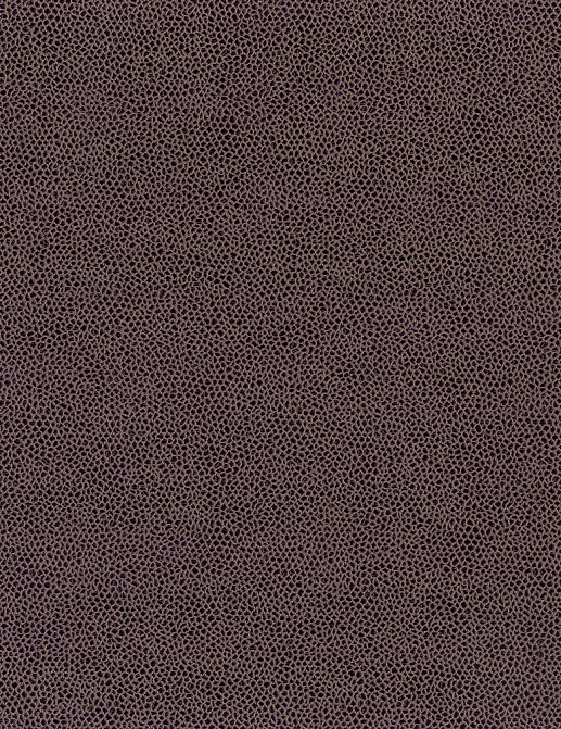 Ткань Osborne & Little Waldorf F6981/10