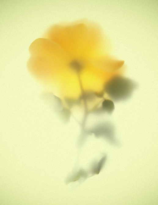 Панно и фотообои JWall One WJE00951