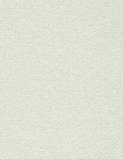 Обои Zoffany Cascade Vinyl 312126