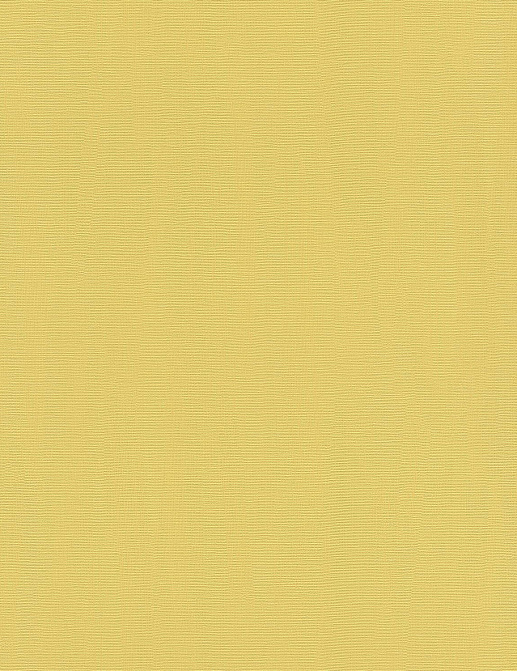 Обои Rasch Hyde Park 411836