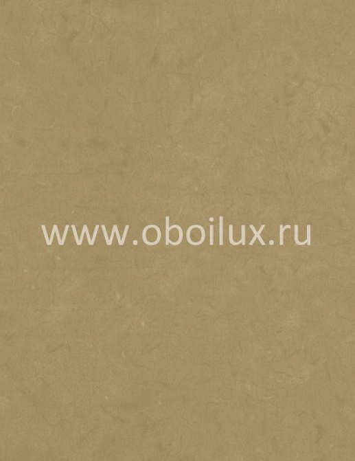 Обои York Color Expressions PX8904