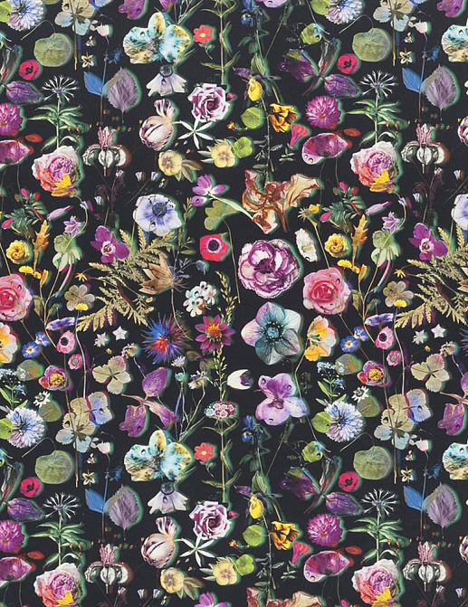 Ткань Christian Lacroix Histoires Naturalles FCL7023/01