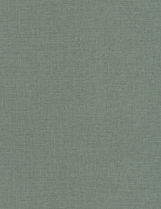 Обои Caselio Jute Essentiel JUT104017789
