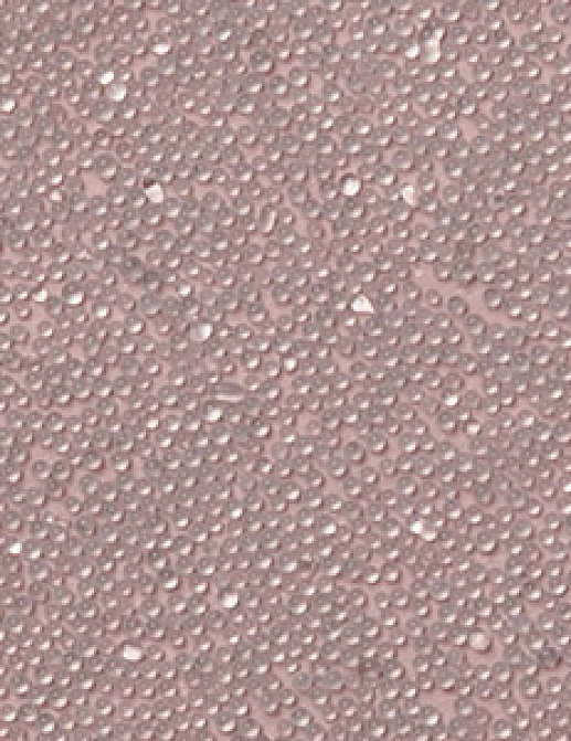 Обои Innovations Collection Murano MUR-COTTON CANDY