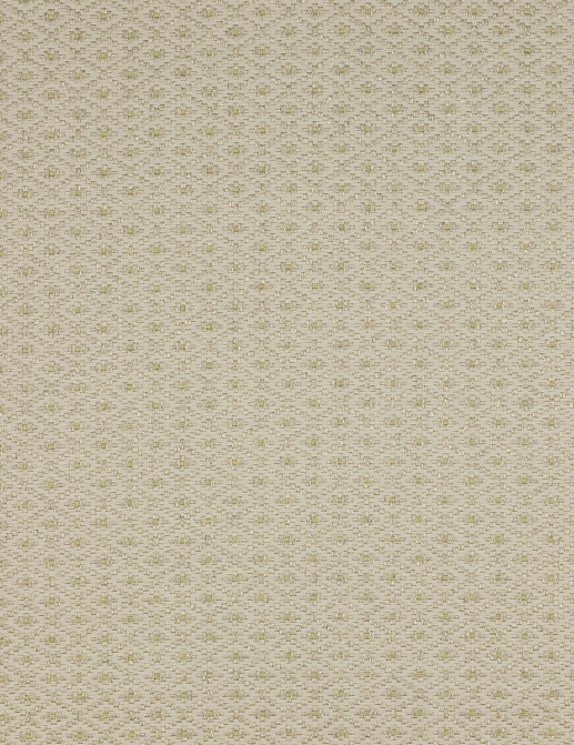 Ткань Colefax and Fowler Amersham F3625/03