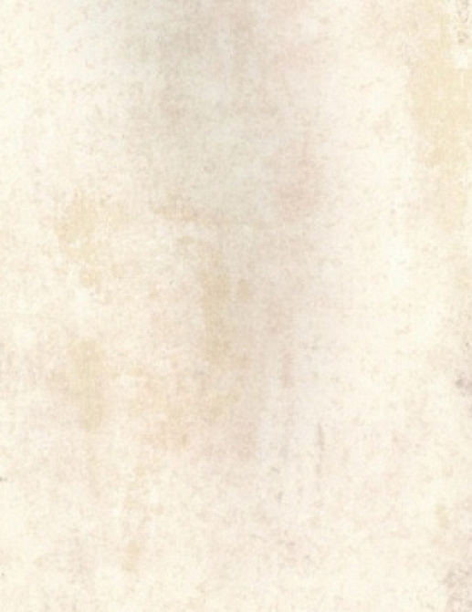 Обои Fresco Elegant SZ001475