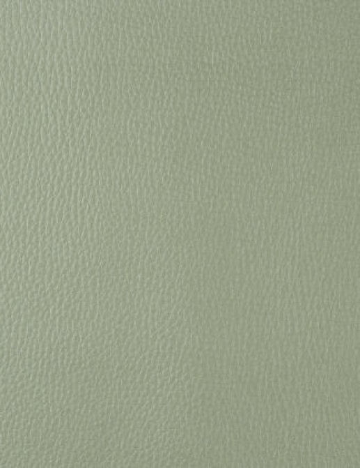 Ткань Designers Guild Santiago F1676/04