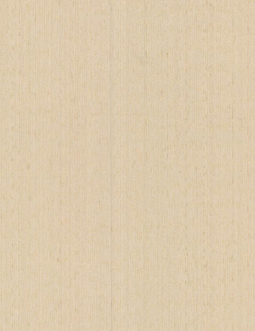 Обои Sangiorgio Texwall Line - Living TL202