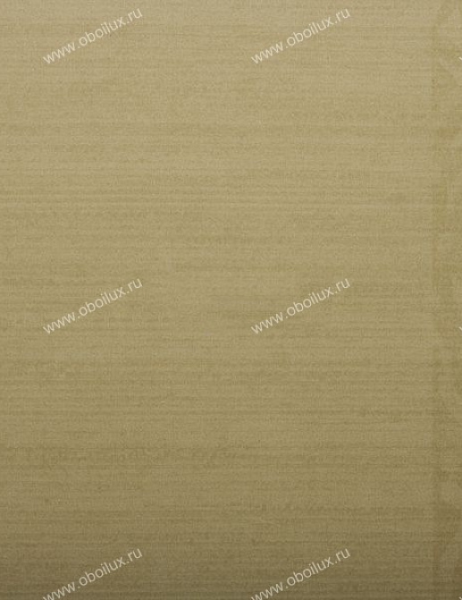 Обои Zoffany Plain & Stripes 2457004