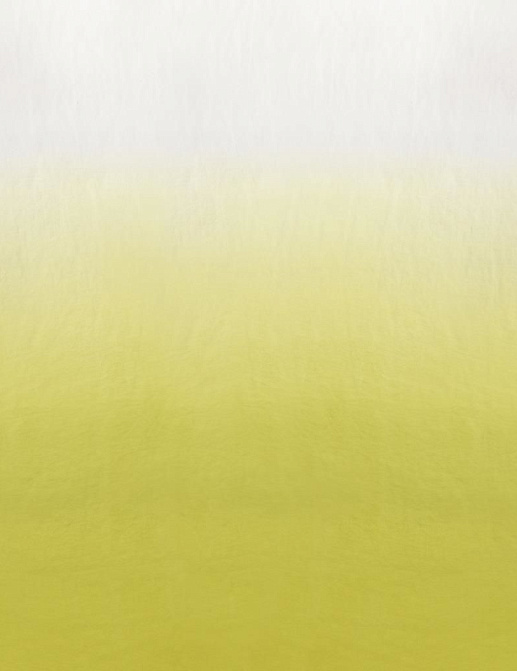 Ткань Designers Guild Saraille F1879/04