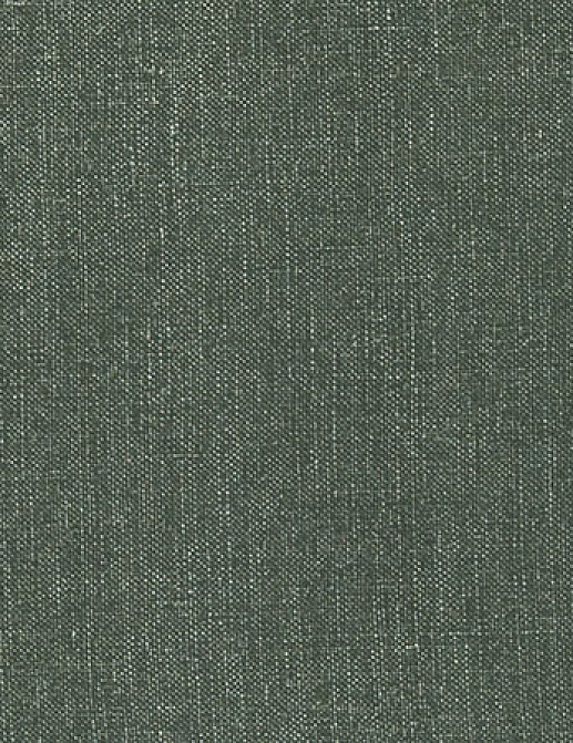 Ткань Designers Guild Tsuga F1420/25