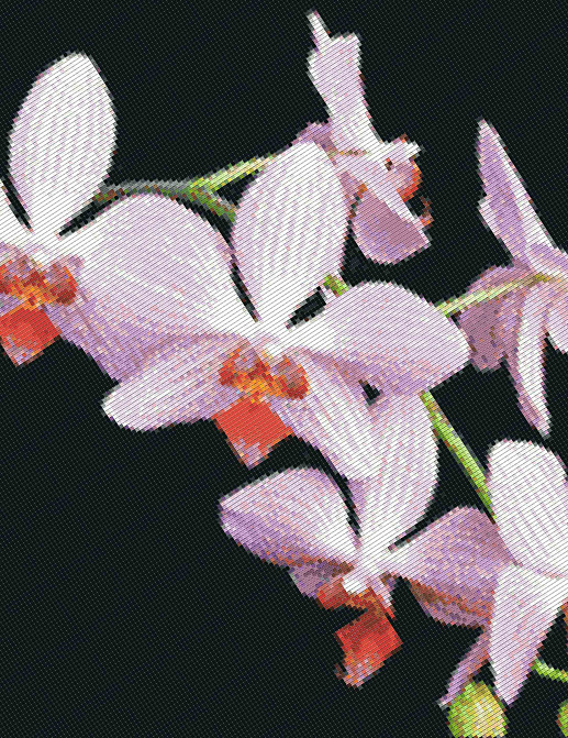 Обои Mozzle Floral MZ00511-001