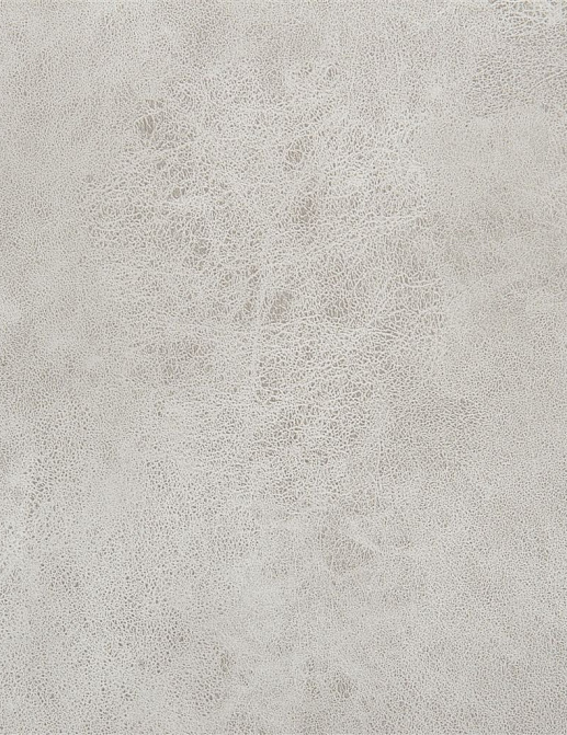Ткань Designers Guild Nevada FDG2539/05
