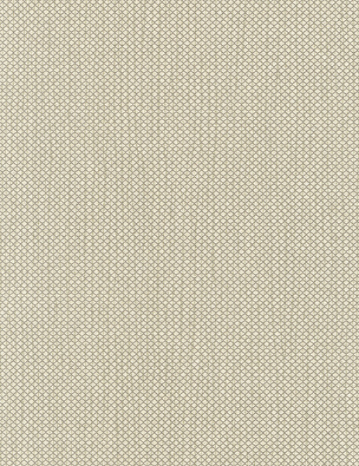 Обои Hookedonwalls Delicate Chic 73210