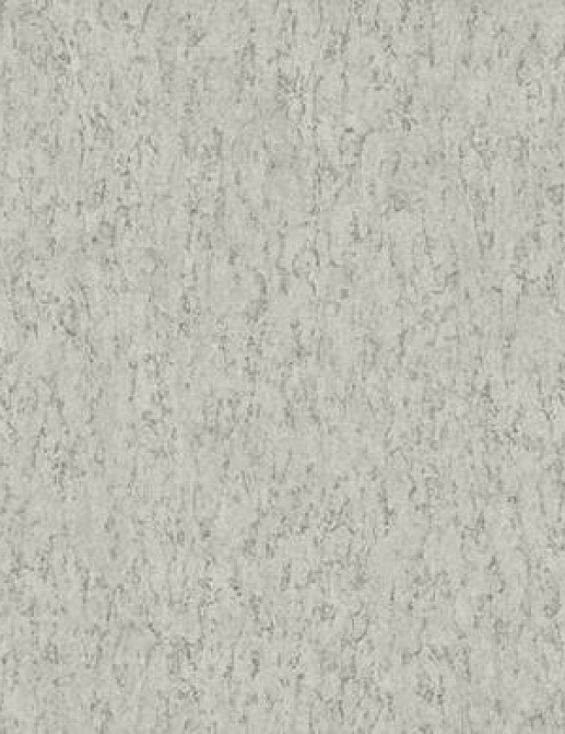 Обои Paper & Ink White on White OY34608