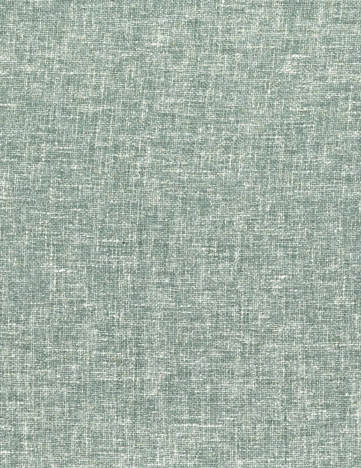 Ткань Casamance Noce de Lin 48732049