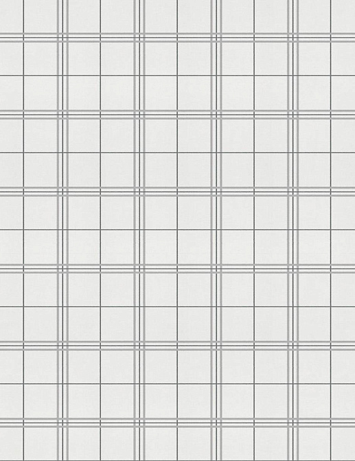 Обои Coordonne Stripes & Checks A00761N