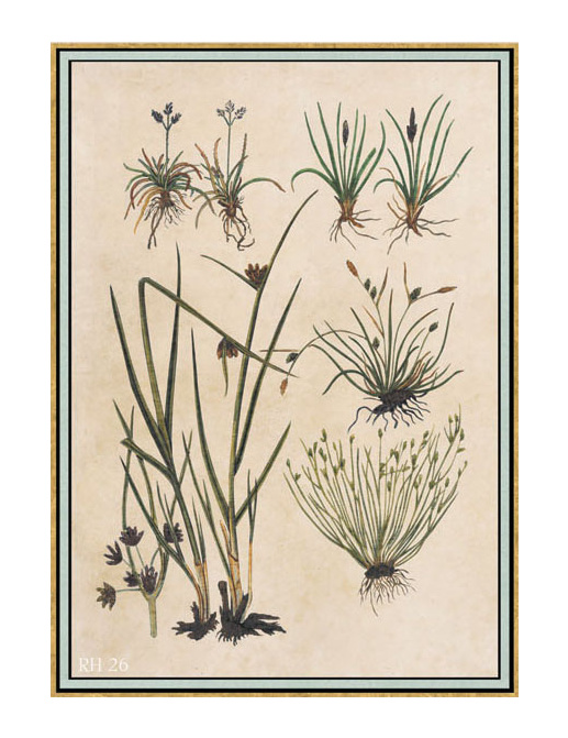 Панно и фотообои Iksel Scenic & Architectural Wallpapers Renaissance Herbier RH26