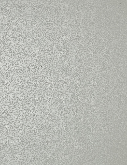 Обои 1838 Wallcoverings Elodie 1907-141-08