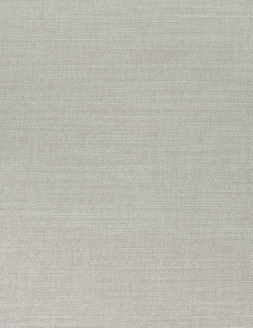 Ткань Thibaut Woven Resource 12 Prisma W70120