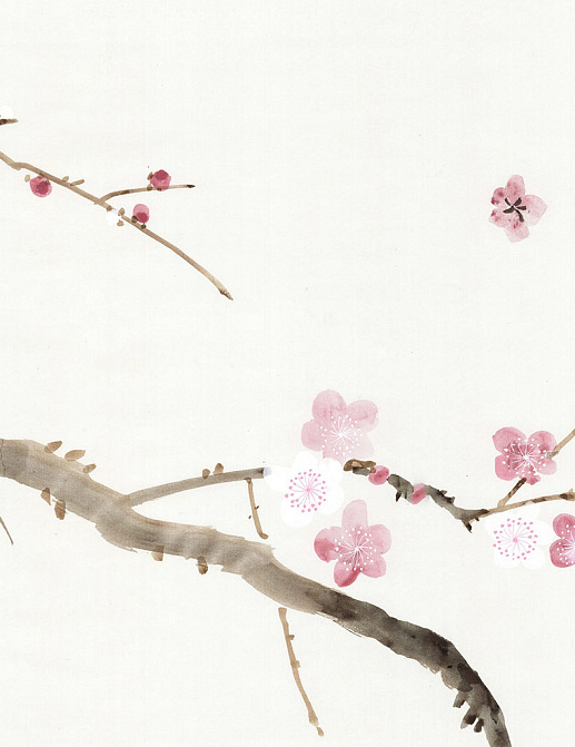 Обои Paul Montgomery Studio Murals For Unique Walls Cherry Blossoms White/White