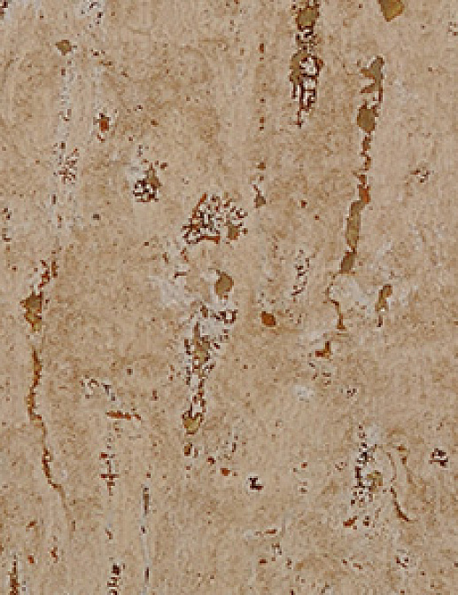 Обои Innovations Collection Marbled Cork MCO-06 CREMA