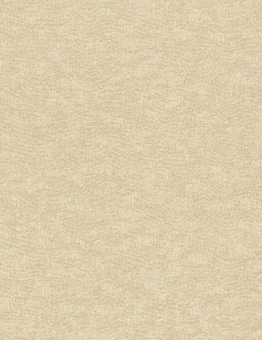 Обои Rasch Filigrano 964851