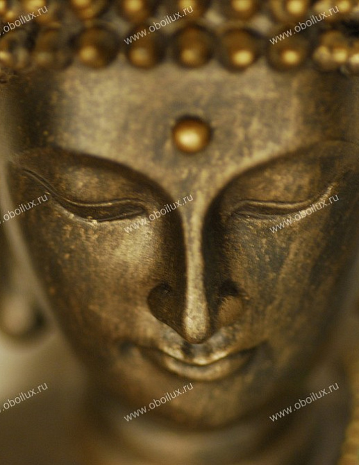 Панно и фотообои A. S. Creation XXL II 372 Buddha In Portrait