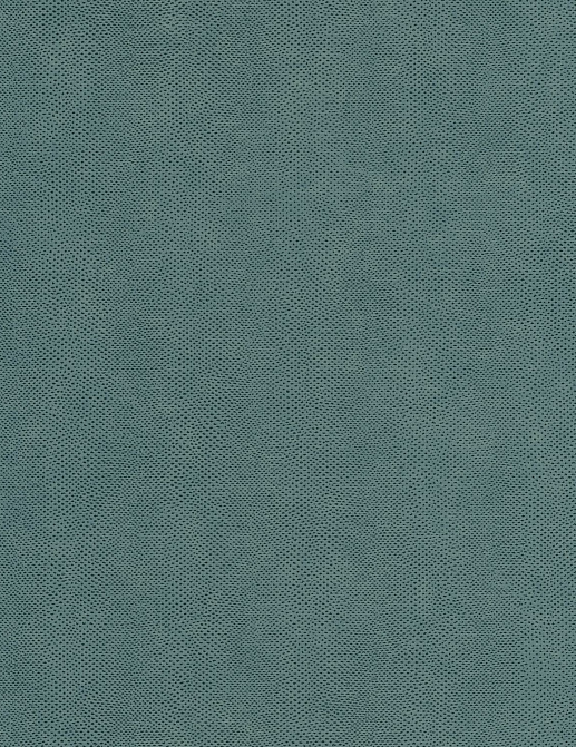 Обои Casadeco Leathers LEAT87166411