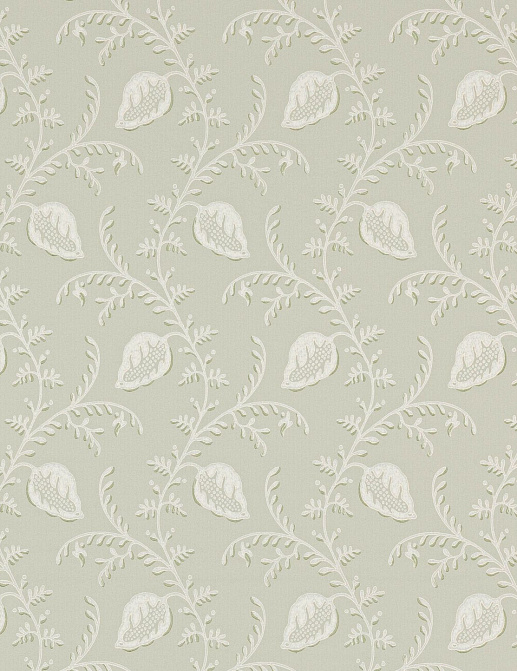 Обои Colefax and Fowler Small Design Wallpapers II W7009-01