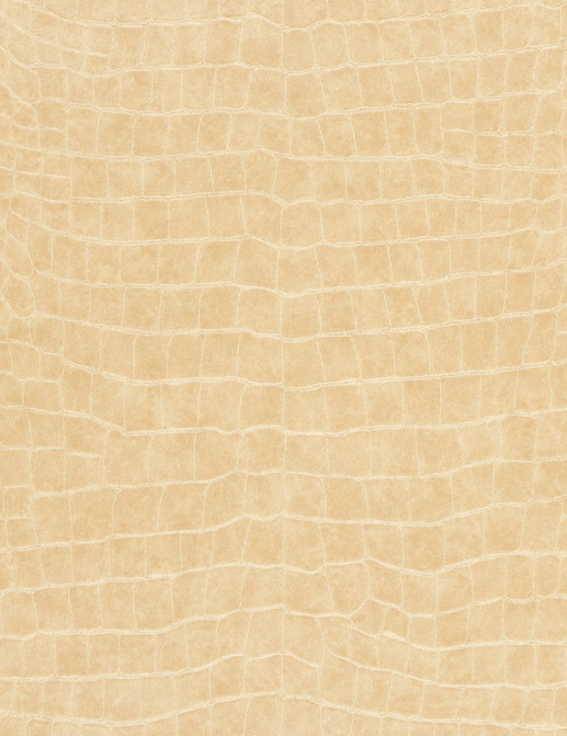 Обои Ralph Lauren Serengeti Textures LWP64988W