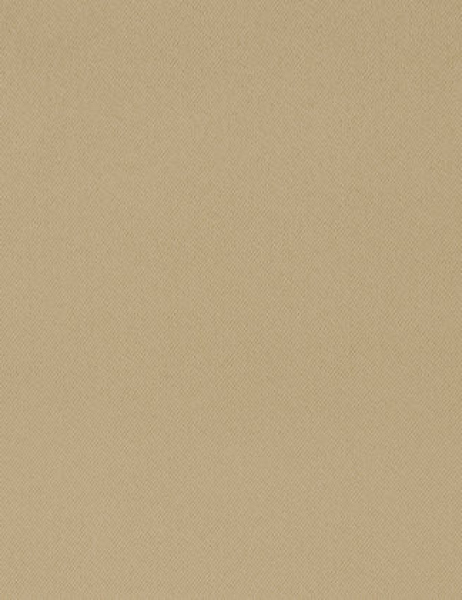Ткань Designers Guild Santiago F1677/04