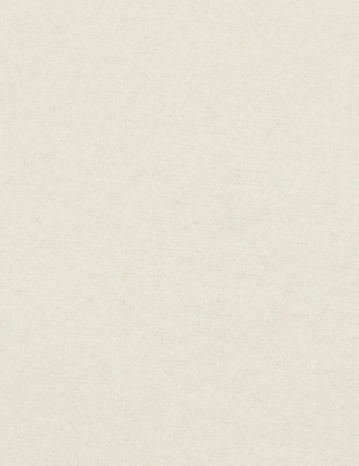 Ткань Loro Piana Doge Wools AWV084RS/1