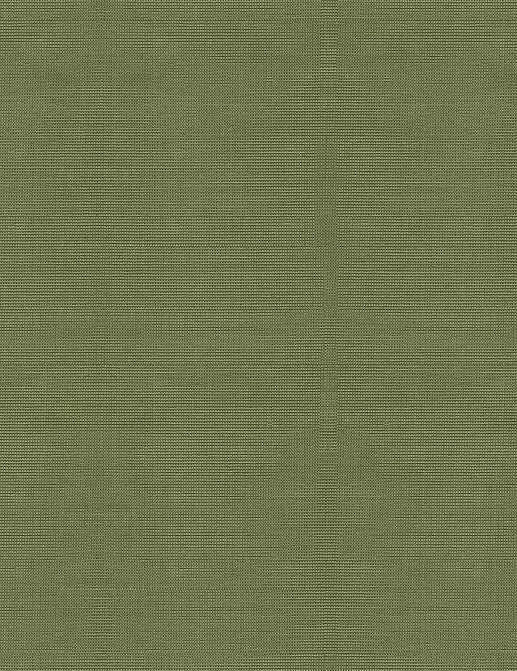 Ткань Kravet Soleil Performance Solids 33396/21