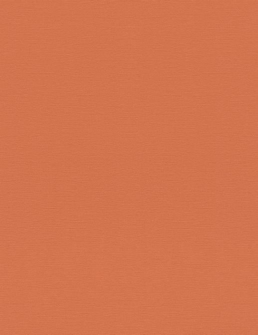 Обои Rasch Topical House 687569