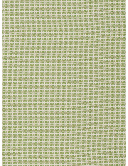 Ткань Stroheim Dana Gibson Prints II Wingo/Spring green