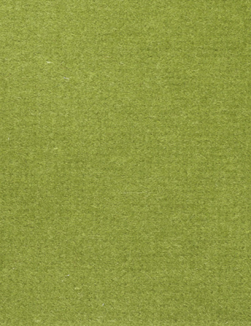 Ткань Alessandro Bini Velluto di Cotone G075/785