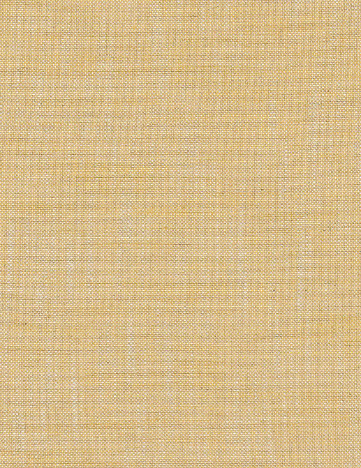 Ткань GP & J Baker House Plain & Stripe BF11006/814