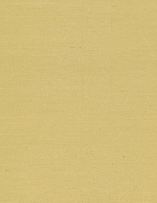 Обои York Ronald Redding Grasscloth & Natural Resource GV0113NW