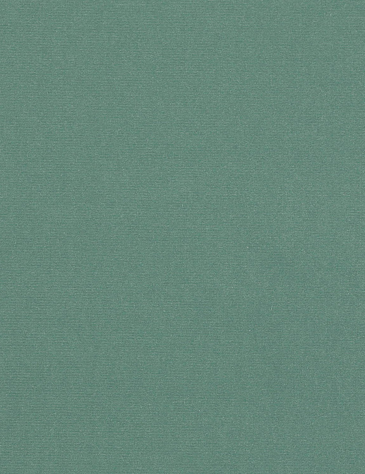 Ткань Manuel Canovas Rivoli II 04982/45