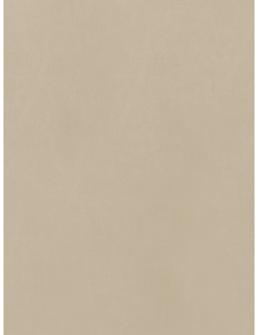 Ткань Trend Simple Wide Sheers 03341/muslin