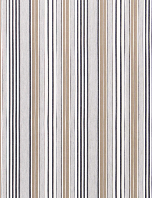 Ткань Designers Guild Tickings F1907/01