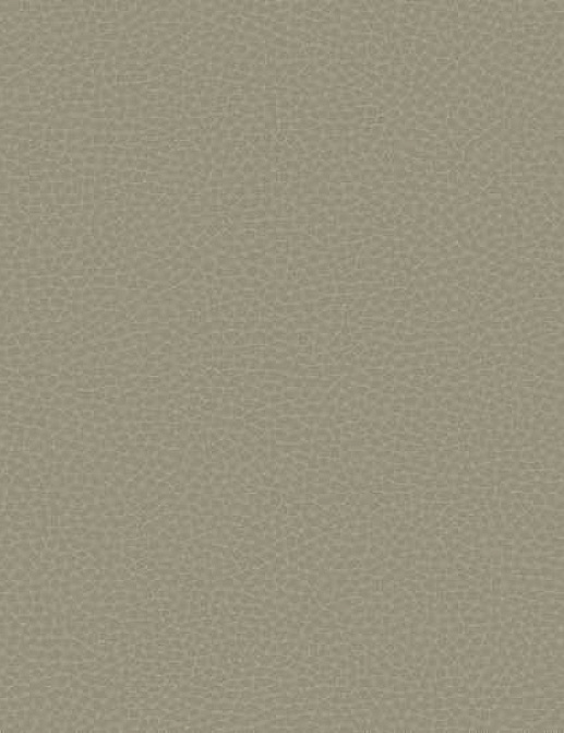 Обои Carl Robinson Edition 17 - Loft CR88006