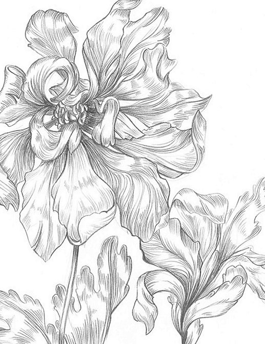 Обои Sandberg Flora Sandbergica 625-03