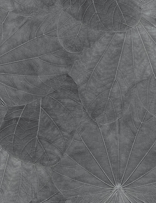 Панно и фотообои Italreflexes Macro Leaves-001/Silver